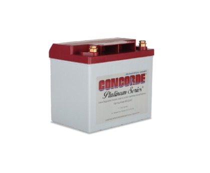 RG25XC 12 Volt 24AH Sealed Lead Acid Battery