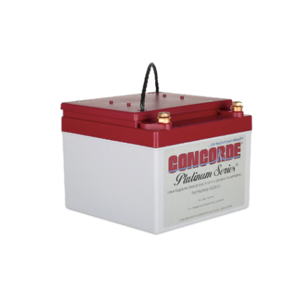 RG24-15 24 Volt 13.6AH Sealed Lead Acid Battery