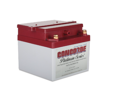 RG24-15M 24 Volt 13.6AH Sealed Lead Acid Battery